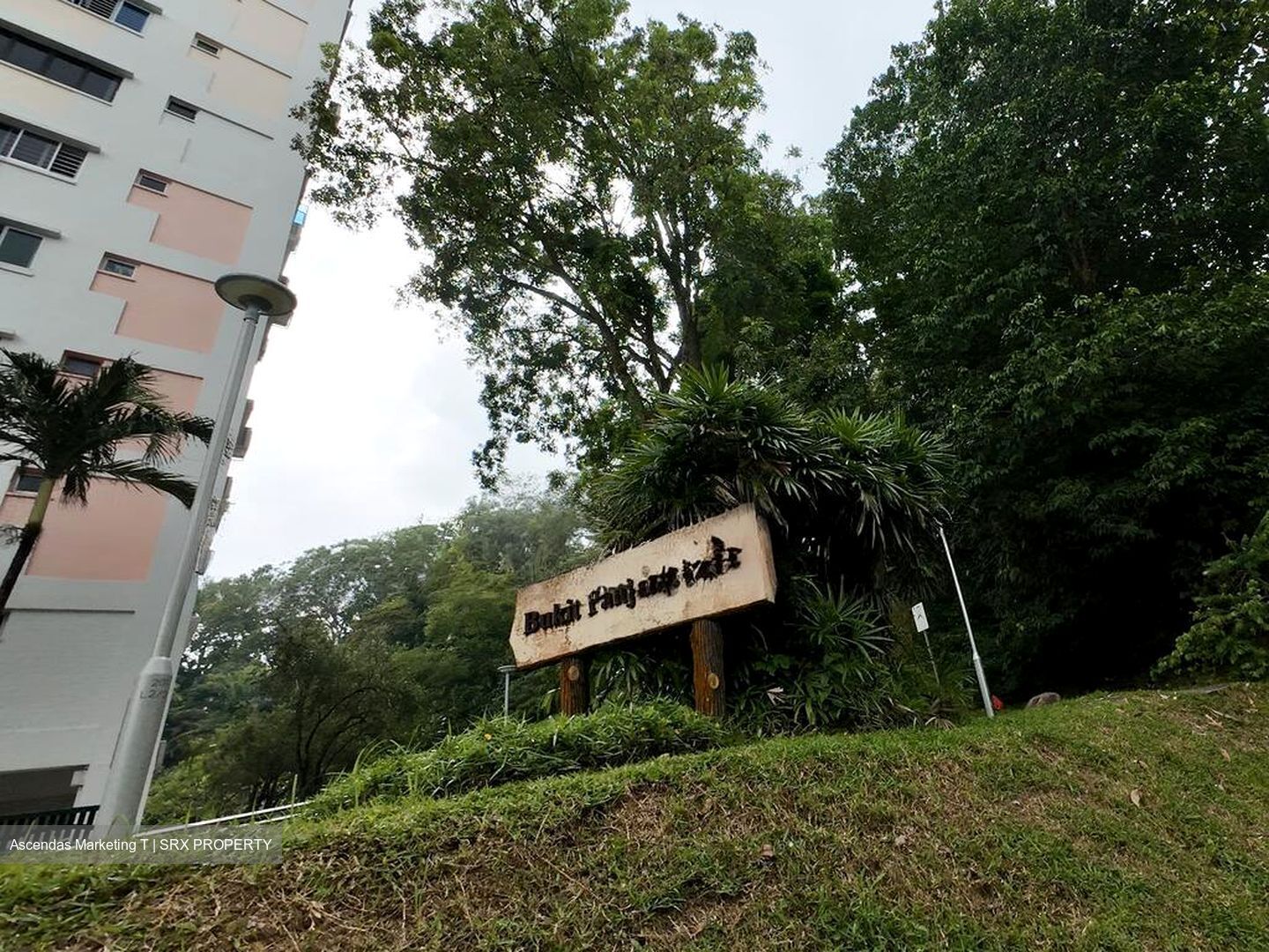 Blk 203 Petir Road (Bukit Panjang), HDB 4 Rooms #498891211